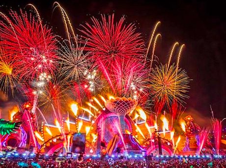 The company started out as Bay Fireworks, and aerial shell displays are still an important part of their business.
