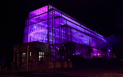 The Jewel Box
