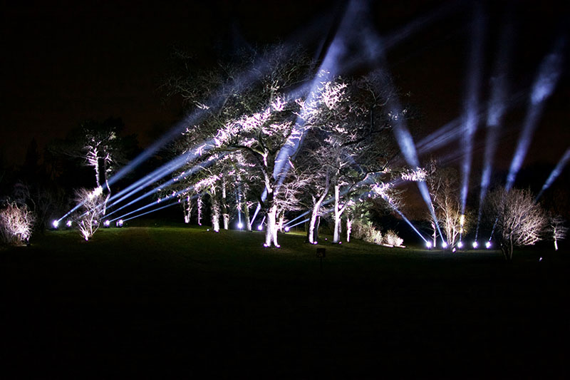 Illumination - The Lights at The Morton Arboretum photo by Benjamin Roy