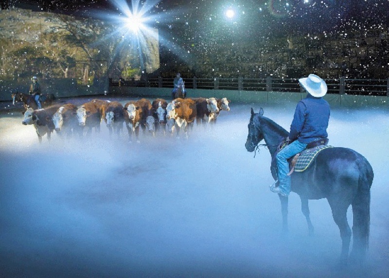 Australian Outback Spectacular