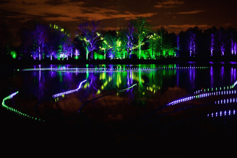 Seasonal Illumination Show at the Morton Arboretum Gets 2015 Update