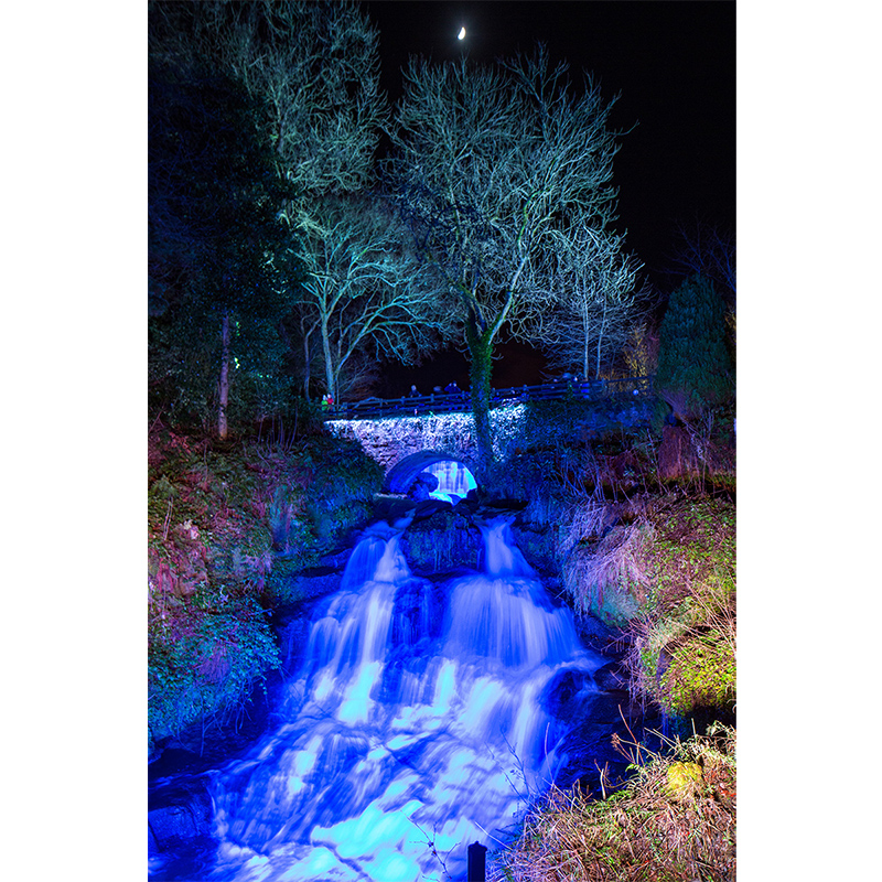 Creative director Phil Supple provides magic moment on Glasgow nature trail