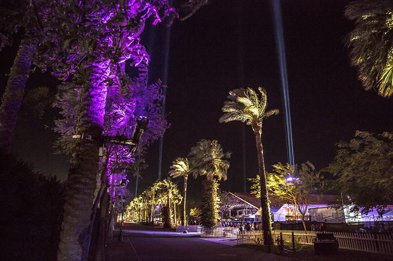 The uplit palm trees during Coachella 2016