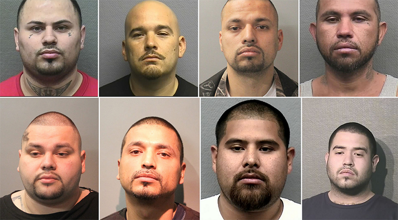 Some of the mug shots on HPD's Flicker page related to the case.