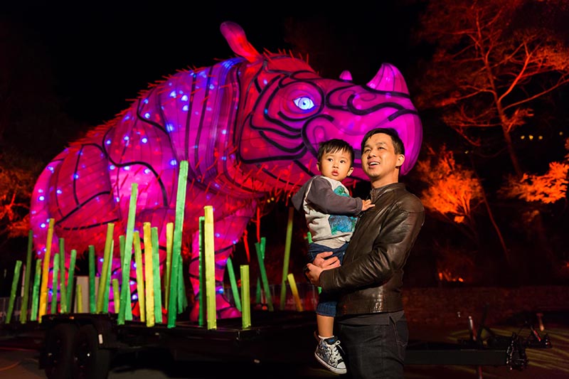 Mandylights Brightens Taronga Zoo for Vivid Sidney Festival