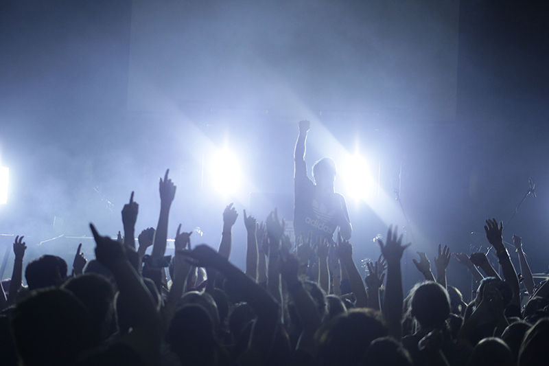 Vinyl Theatre performs