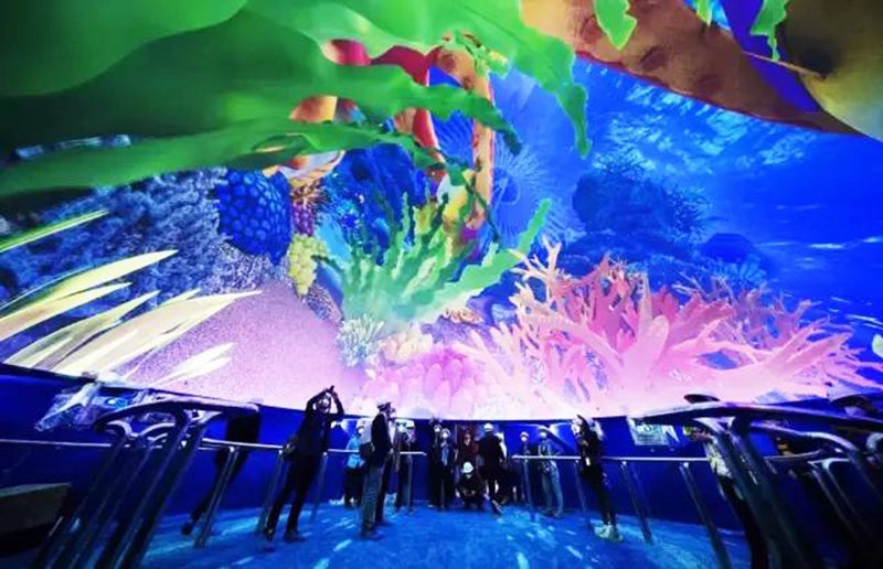 The Aquarium in Nanchang, China. It is one of the attractions in the new Wanda Cultural Tourism City.