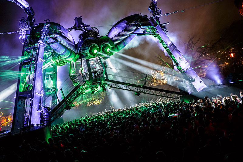 Arcadia Spider photo by Ben Daure