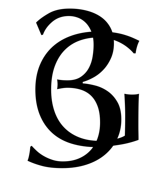3G logo