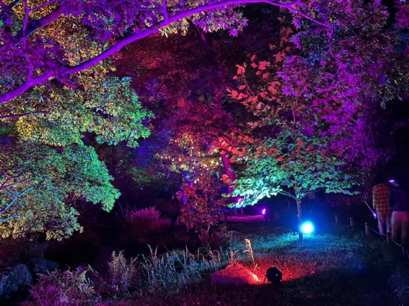 Maymont ‘Garden Glow’ Event Enchants Visitors with CHAUVET Professional