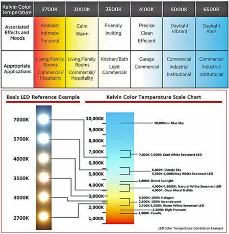 House Lights and How to Evaluate Them – PLSN