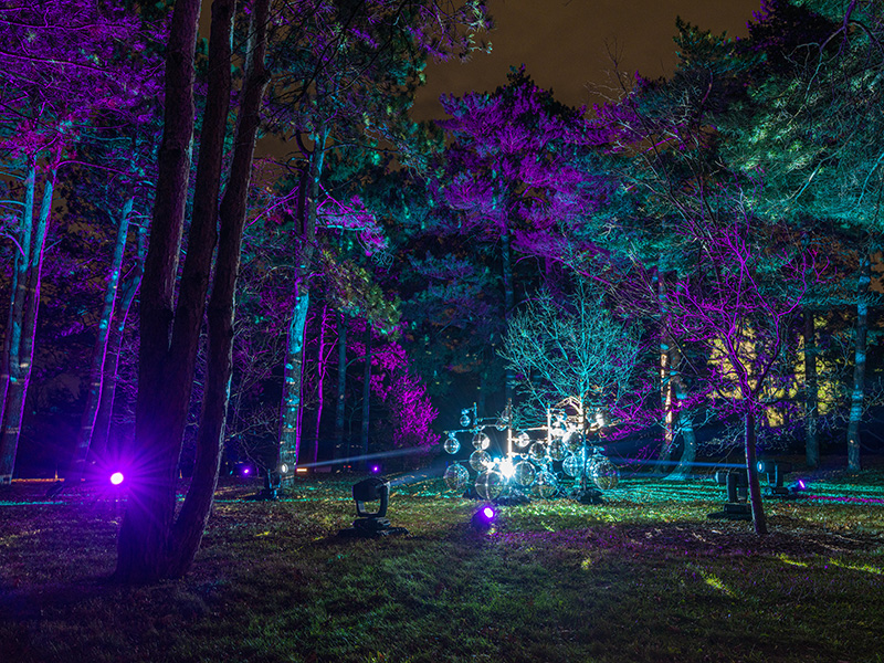 ‘Illumination’ At The Morton Arboretum – PLSN