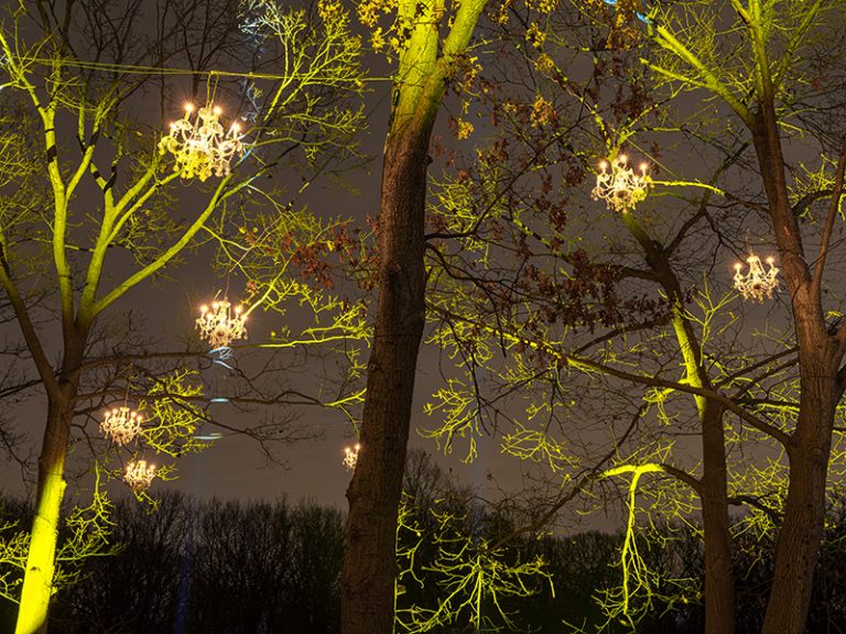 ‘Illumination’ At The Morton Arboretum – PLSN